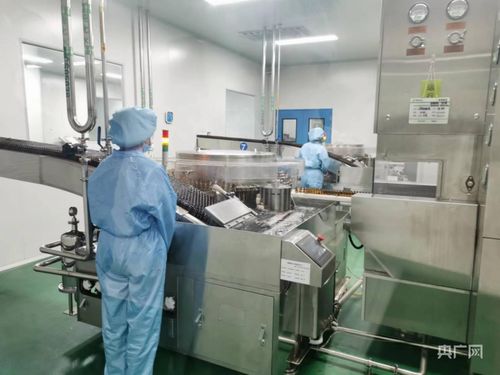 金銀花開致富路，科技賦能新篇章——探訪南陽金銀花種植基地與河南中醫藥文化魅力