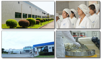 湖南迪博制藥 以創新科技驅動藥品生產技術開發，為健康事業注入新動力